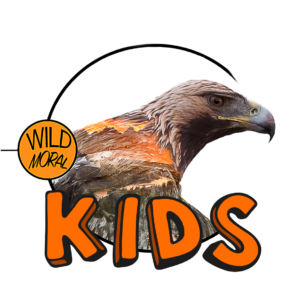 Wildmoral KIDS - Actividades en familia